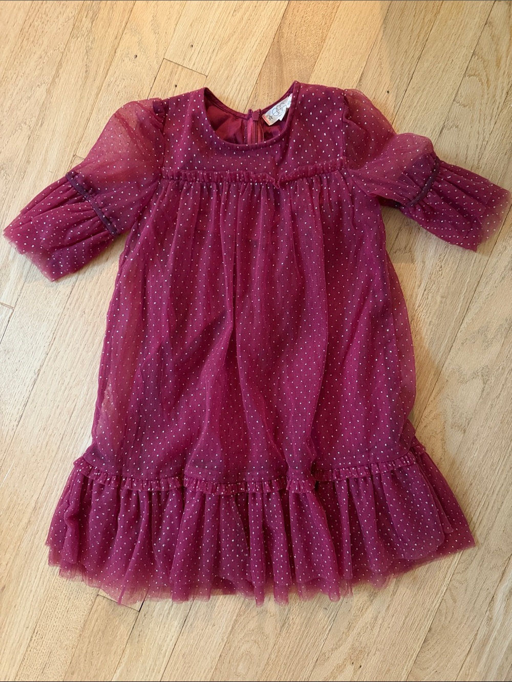 Egg Collective Burgundy Dot Tulle Dress with Ruffle Hem